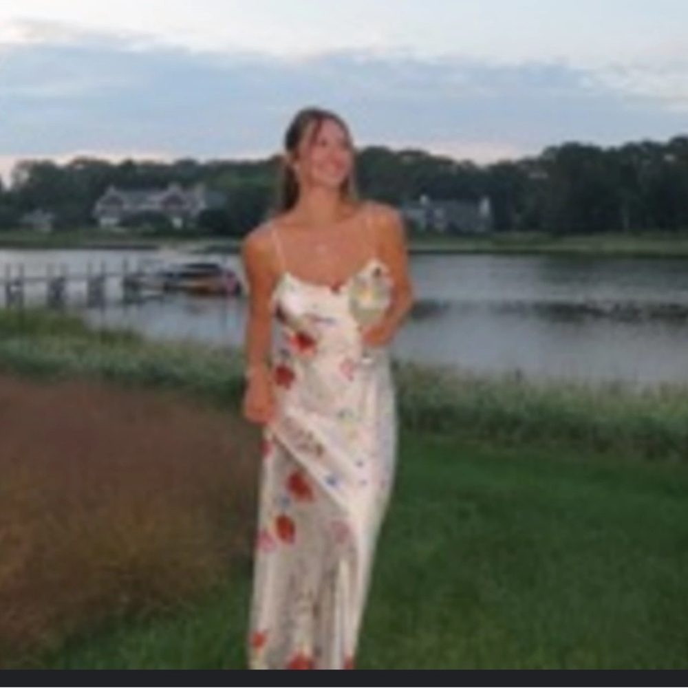 EUC reformation aribella silk dress in natural - Picture 5 of 6
